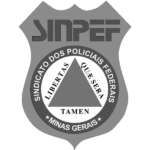 WhatsApp Image 2022-08-02 at 15.02.58